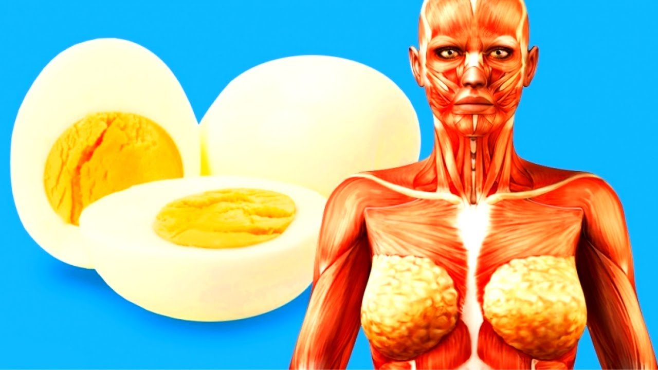 Here’s What Happens to Your Body When You Eat Two Eggs a Day. I Would Have Never Believed No. 3… awesome!